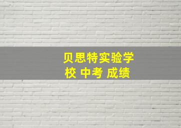 贝思特实验学校 中考 成绩